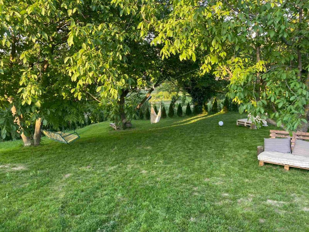 Villa Todor Boutique House Sremska Kamenica Exterior foto