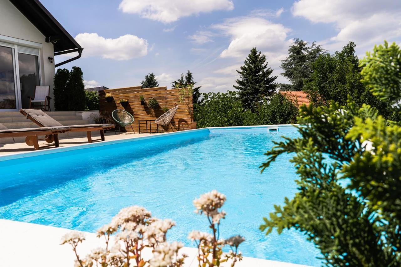 Villa Todor Boutique House Sremska Kamenica Exterior foto