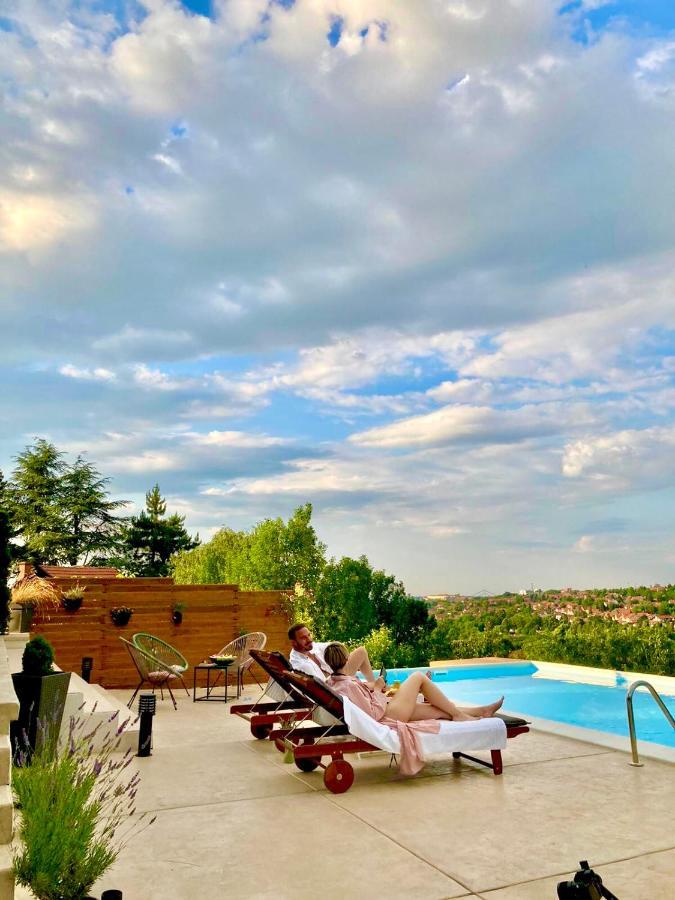 Villa Todor Boutique House Sremska Kamenica Exterior foto